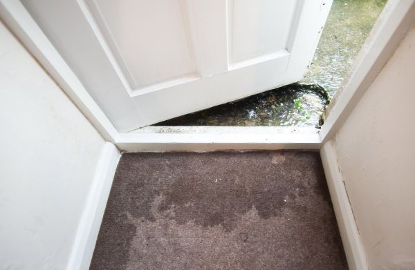 Wet Carpet Restoration in Greenfield