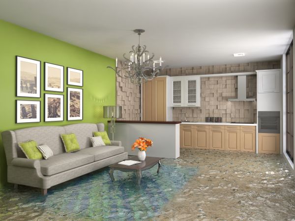 Wet Carpet Drying in Greenfield