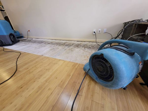 Water Damage Mitigation in Greenfield