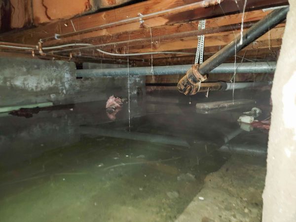 Water Mitigation Service in Greenfield