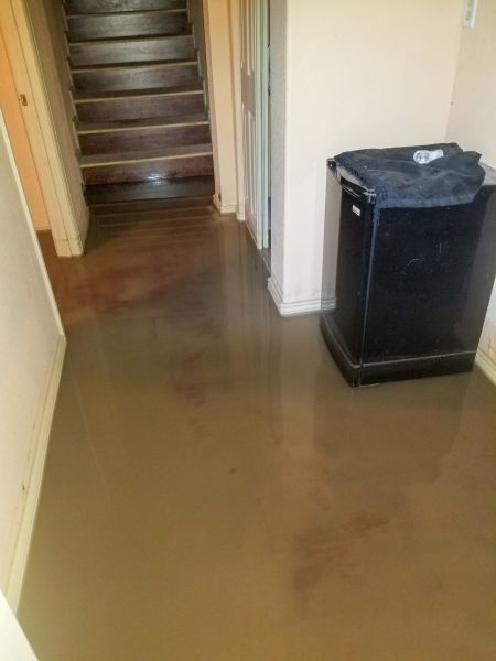 Emergency Water Removal in Greenfield