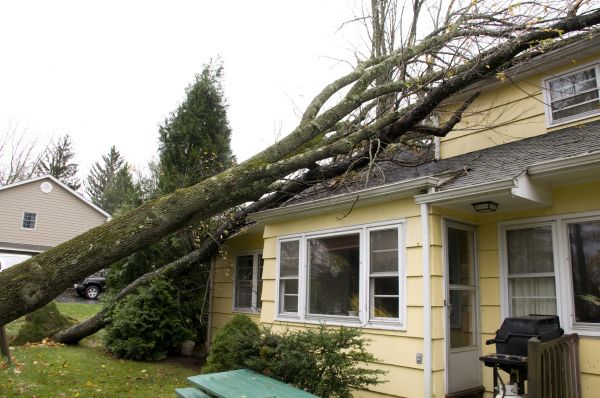 Hurricane Damage Repair in Greenfield